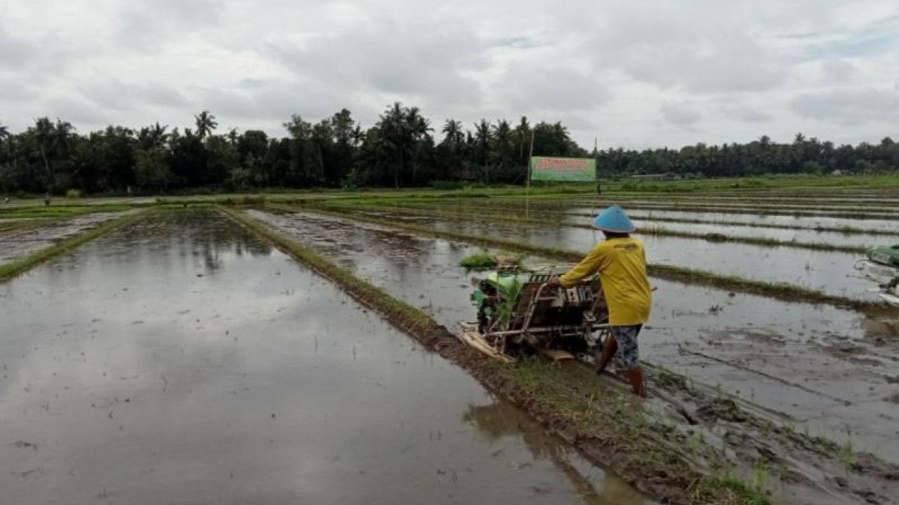 Lahan pertanian di wilayah Kabupaten Bantul, Daerah Istimewa Yogyakarta, membutuhkan aliran irigasi (ANTARA/Hery Sidik)