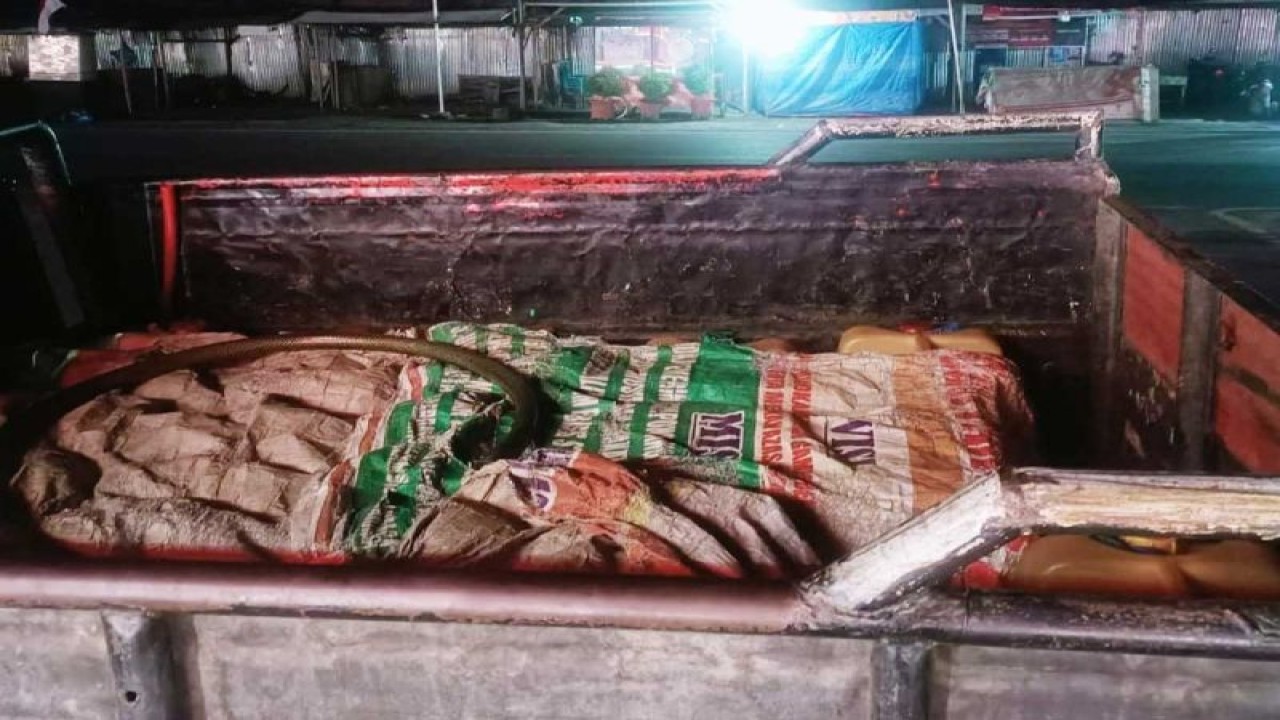 Barang bukti puluhan jeriken berisi BBM subsidi jenis solar yang ditutup terpal di Peusangan, Kabupaten Bireuen, Aceh. ANTARA/HO-Dok Bidhumas Polda Aceh