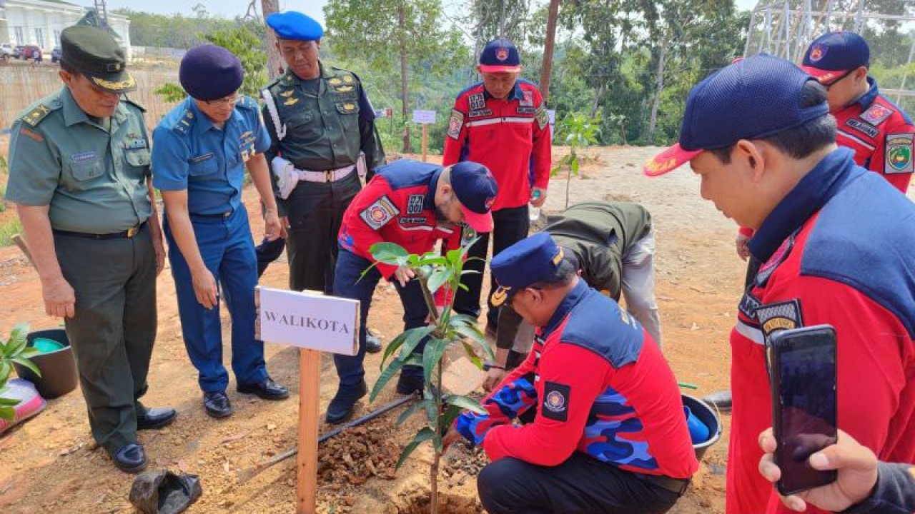 Wali Kota Bengkulu Helmi Hasan saat menanam bibit di kawasan Merah Putih, Kota Bengkulu, Rabu (23/9/2023). ANTARA/Anggi Mayasari