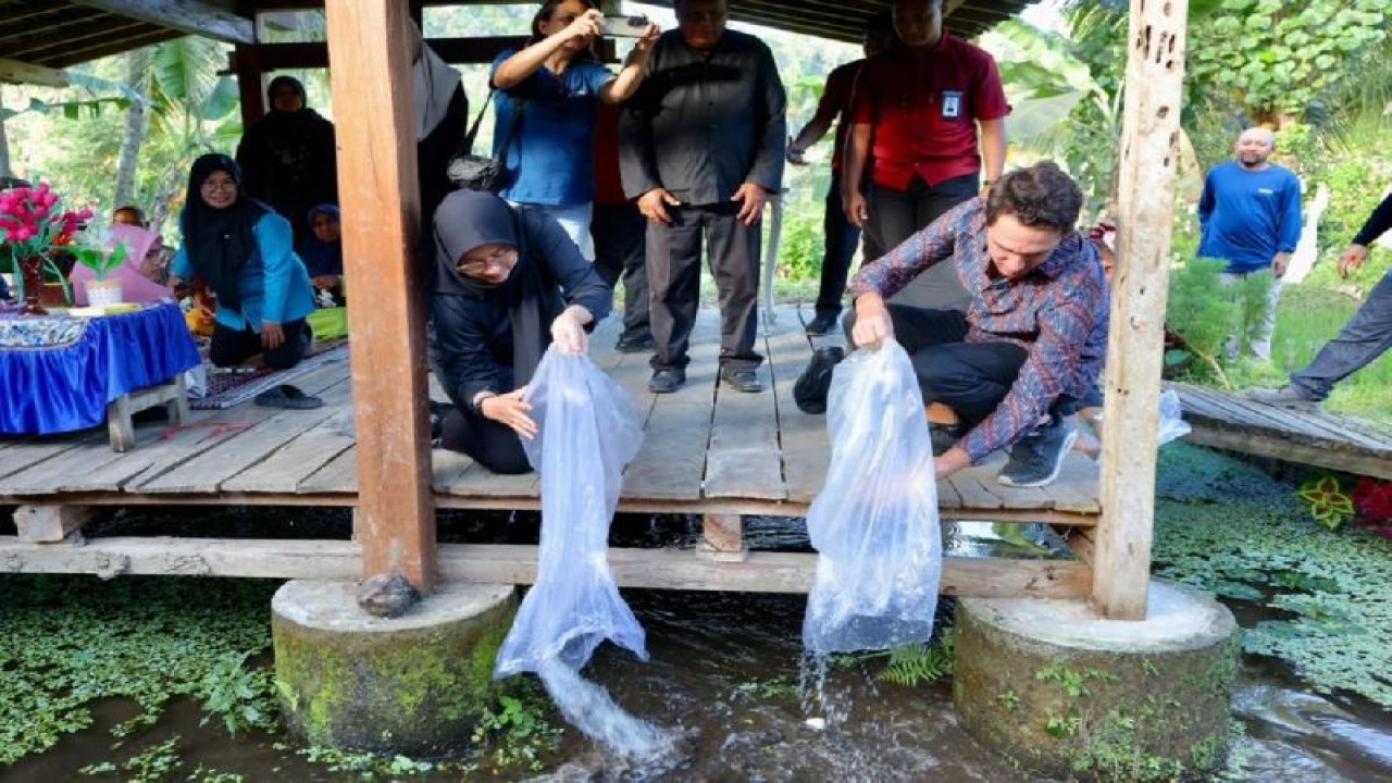 Arsip Foto - Bupati Banyuwangi Ipuk Fiestiandani menebar benih ikan di Sungai Desa Kluncing, Kecamatan Licin, Kabupaten Banyuwangi, Provinsi Jawa Timur. (ANTARA/HO-Humas Pemkab Banyuwangi)