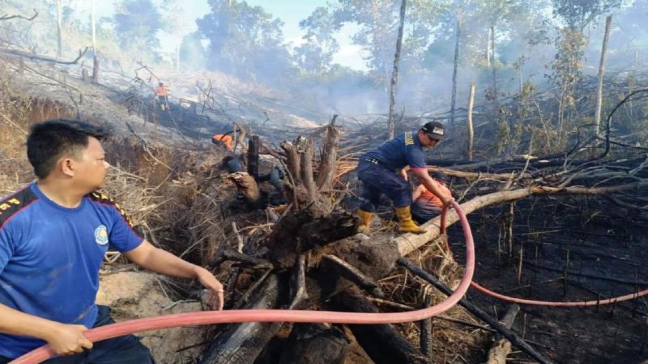 Petugas Damkar dan Pusdalops BPBD Kabupaten PPU memadamkan karhutla di Lawe-Lawe, Kecamatan Penajam, Senin (31/7/2023). (ANTARA/HO-Pusdalops BPBD Kabupaten PPU)