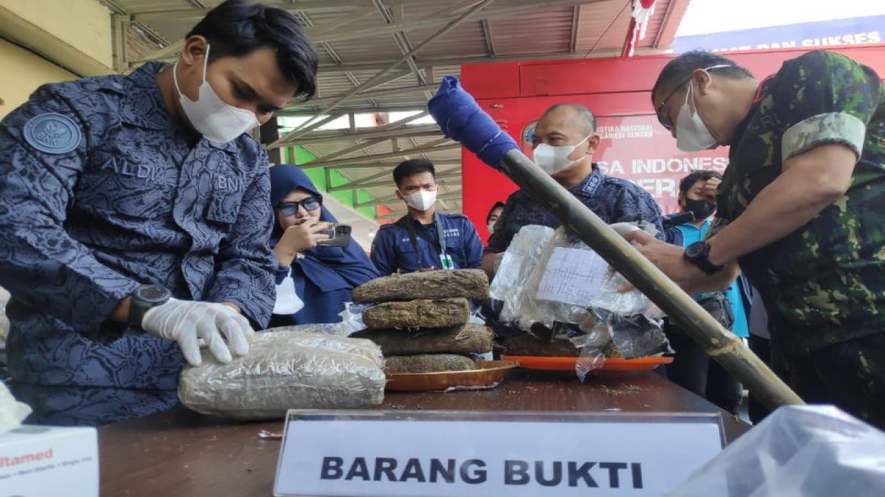 Barang bukti narkotika jenis sabu dan ganja yang ditangani Badan Nasional Narkotika Provinsi (BNNP) Sulawesi Tengah dan siap dimusnahkan. ANTARA/HO-Ikram