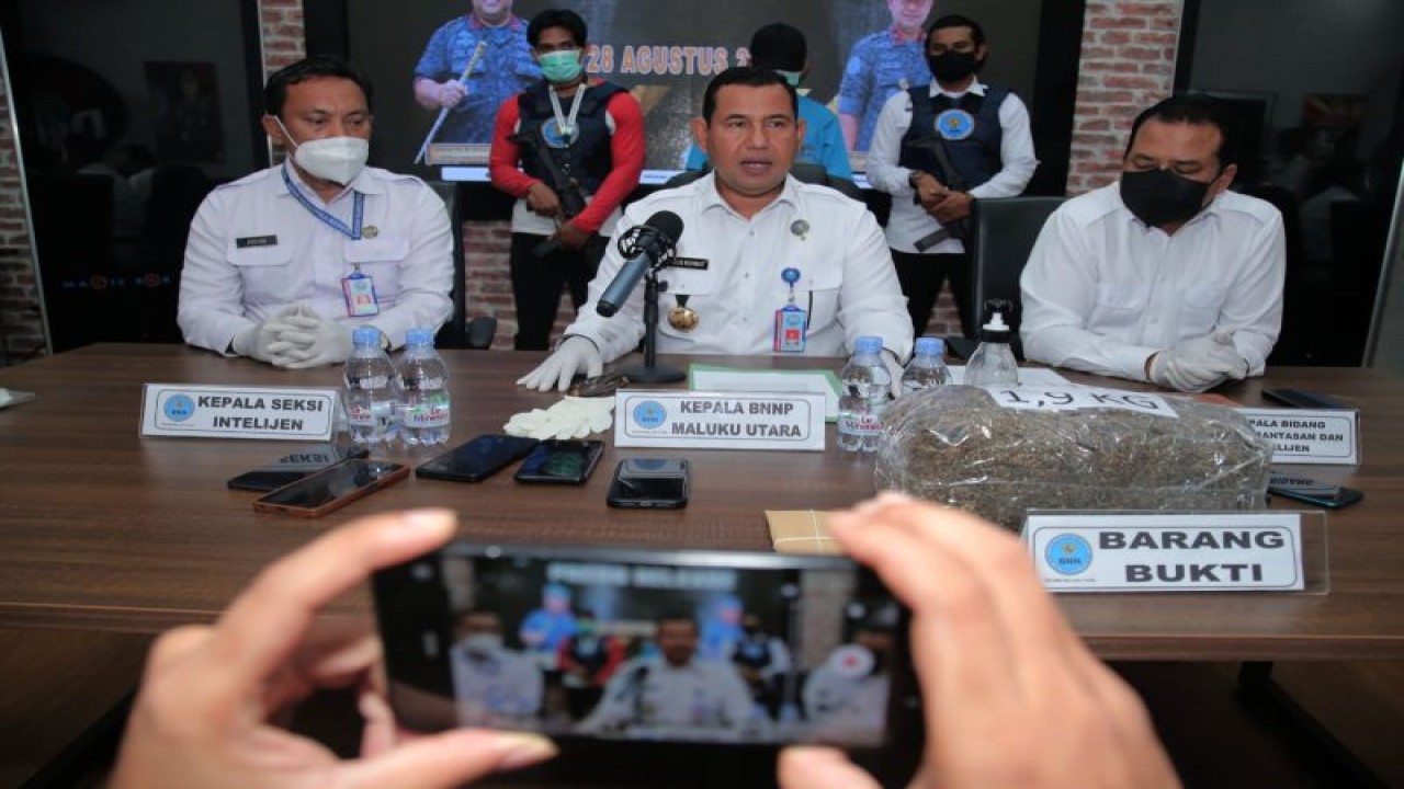 BNNP Malut kembali menangkap tersangka pengedar narkotika jenis ganja kering yang dikirim dari Provinsi Aceh untuk dijual ke Malut sebanyak 1,9 kg, Senin (28/8/2023). ANTARA/Andri Saputra (Abdul Fatah)