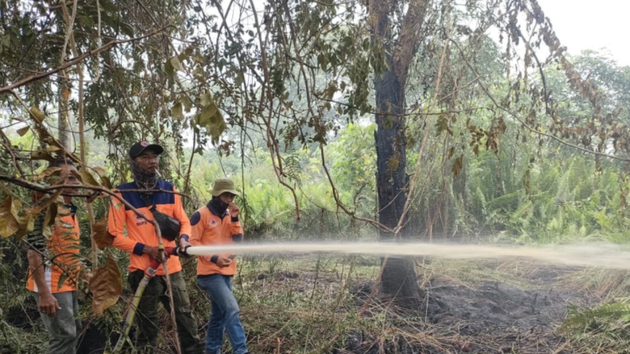 Ilustrasi: BPBD Kalbar melakukan pemadaman lahan terbakar dan fokus di sekitar pemukiman (ANTARA/Dedi)