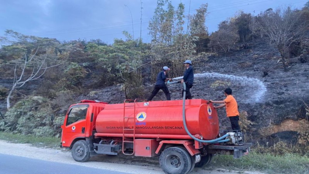 BPBD Sulteng berupaya memadamkan kebakaran lahan yang terjadi di Desa Taipa, Kecamatan Pamona Timur, Kabupaten Poso, Sabtu (19/8/2023). (ANTARA/HO-BPBD Sulteng)