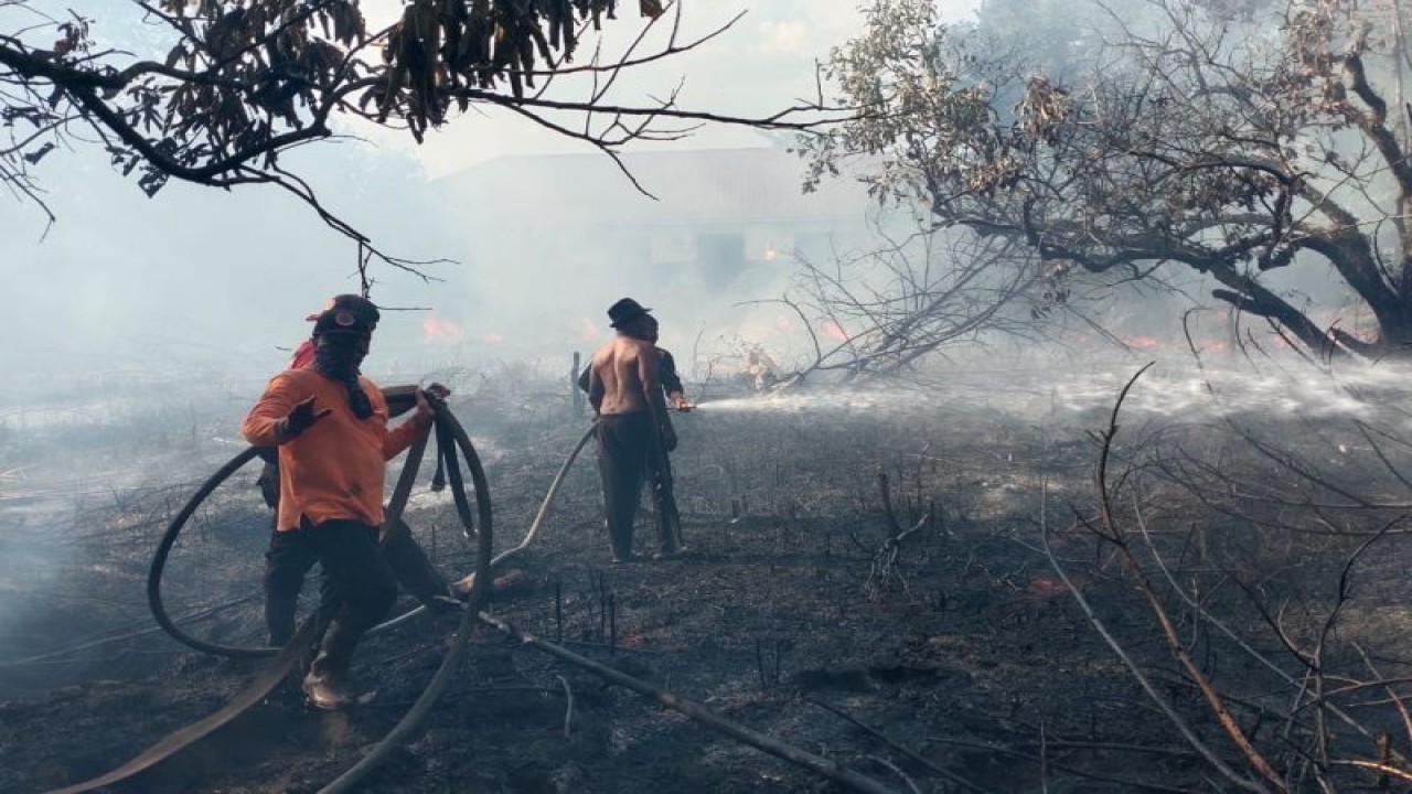 Petugas dari BPBD Kota Palangka Raya memadamkan kebakaran yang terjadi di salah satu kelurahan yang ada di kota setempat, kemarin. (ANTARA/Adi Wibowo)