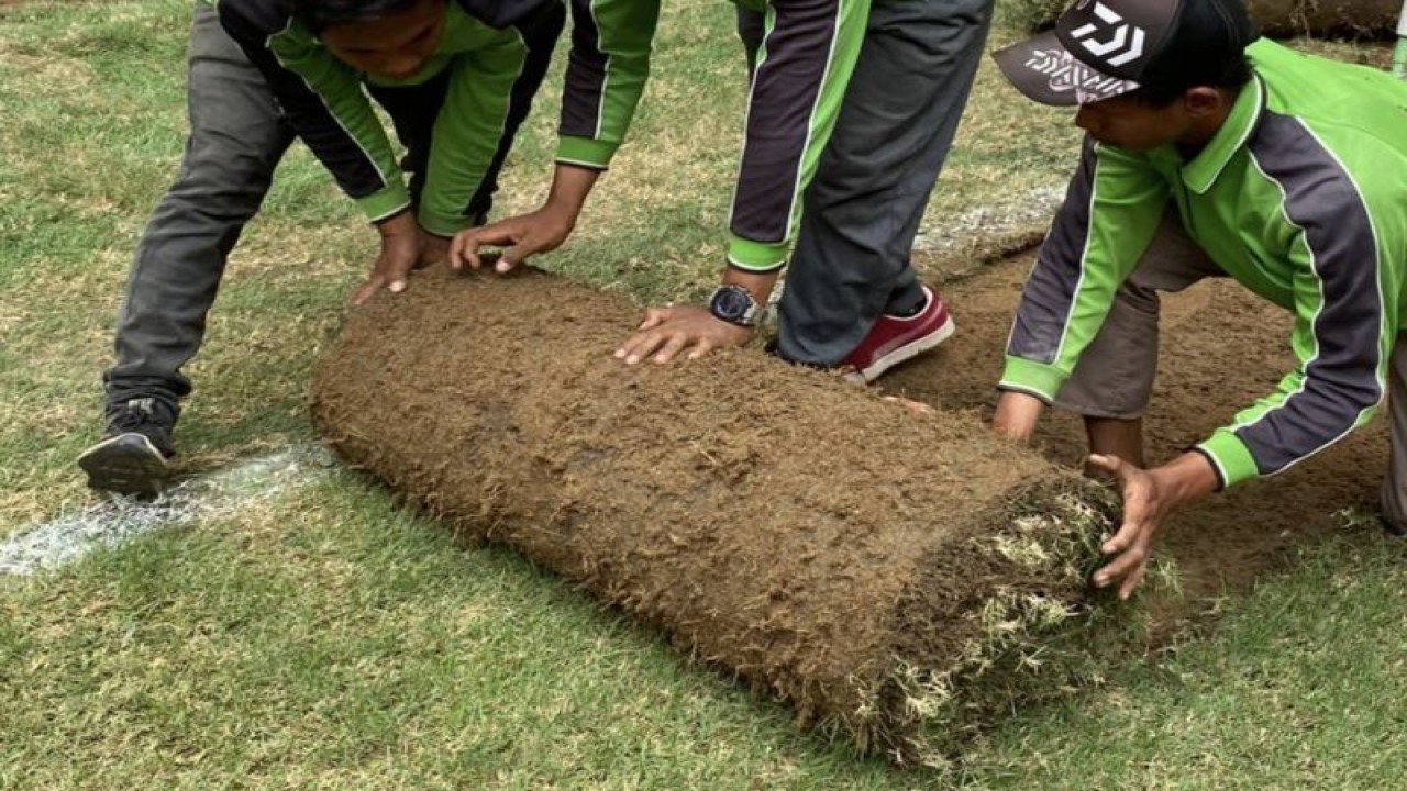 Sejumlah petugas menggulung rumput lapangan utama Jakarta International Stadium di Tanjung Priok, Jakarta Utara, Selasa (29/8/2023). ANTARA/HO-Dokumentasi Pribadi