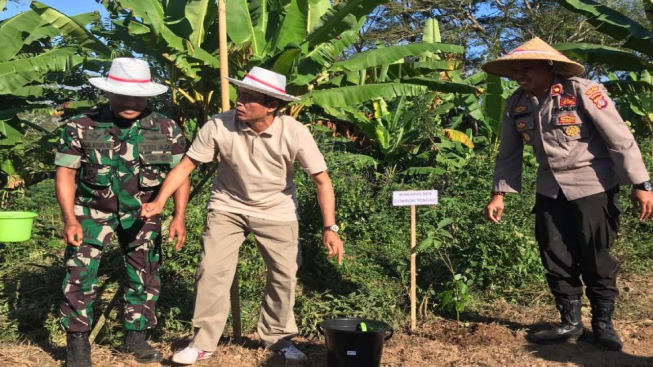 Bupati Kabupaten Lombok Tengah, Provinsi Nusa Tenggara Barat, H Lalu Fathul Bahri (Tengah) saat melakukan penghijauan di hutan Desa Lantan, Rabu (23/8/2023) (ANTARA/HO-Humas Pemkab Lombok Tengah)