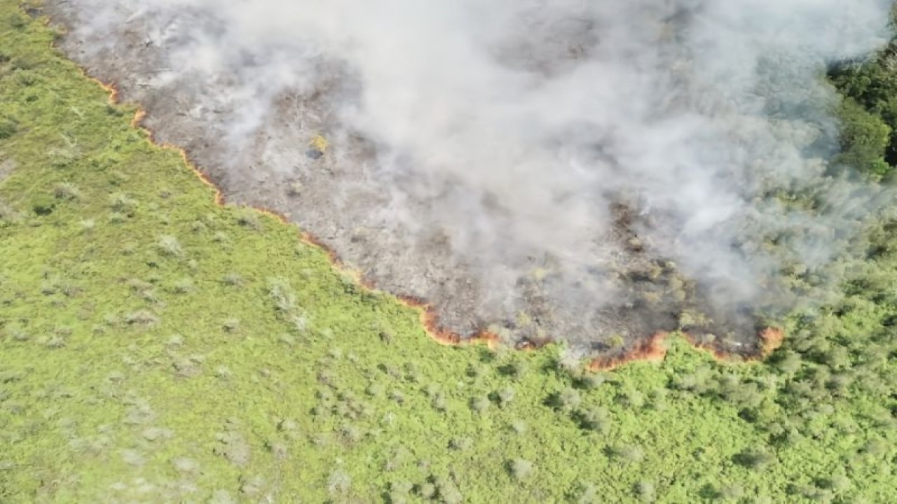 Foto Arsip - Api membakar lahan di Desa Palangan Kecamatan Kota Besi, (3/8/2023). (ANTARA/HO-Pemdes Palangan)