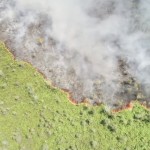 Foto Arsip - Api membakar lahan di Desa Palangan Kecamatan Kota Besi, (3/8/2023). (ANTARA/HO-Pemdes Palangan)-1692338144