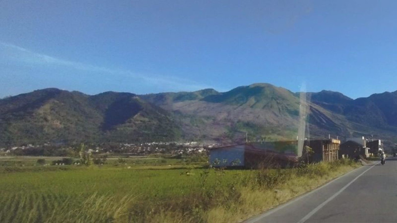 Kondisi Gunung Guntur di Kabupaten Garut, Jawa Barat. (ANTARA/Feri Purnama)
