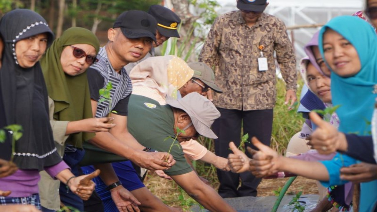 Bupati Gunungkidul Sunaryanta menanam tanaman cabai di Lumbung Mataraman Kedungpoh, Kecamatan Nglipar. (ANTARA/HO-Humas Pemkab Gunungkidul)