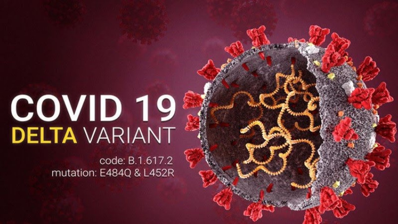Ilustrasi - Varian COVID-19. (ANTARA/HO-Sutterstock)