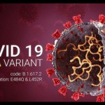 Ilustrasi - Varian COVID-19. (ANTARA/HO-Sutterstock)-1692589231