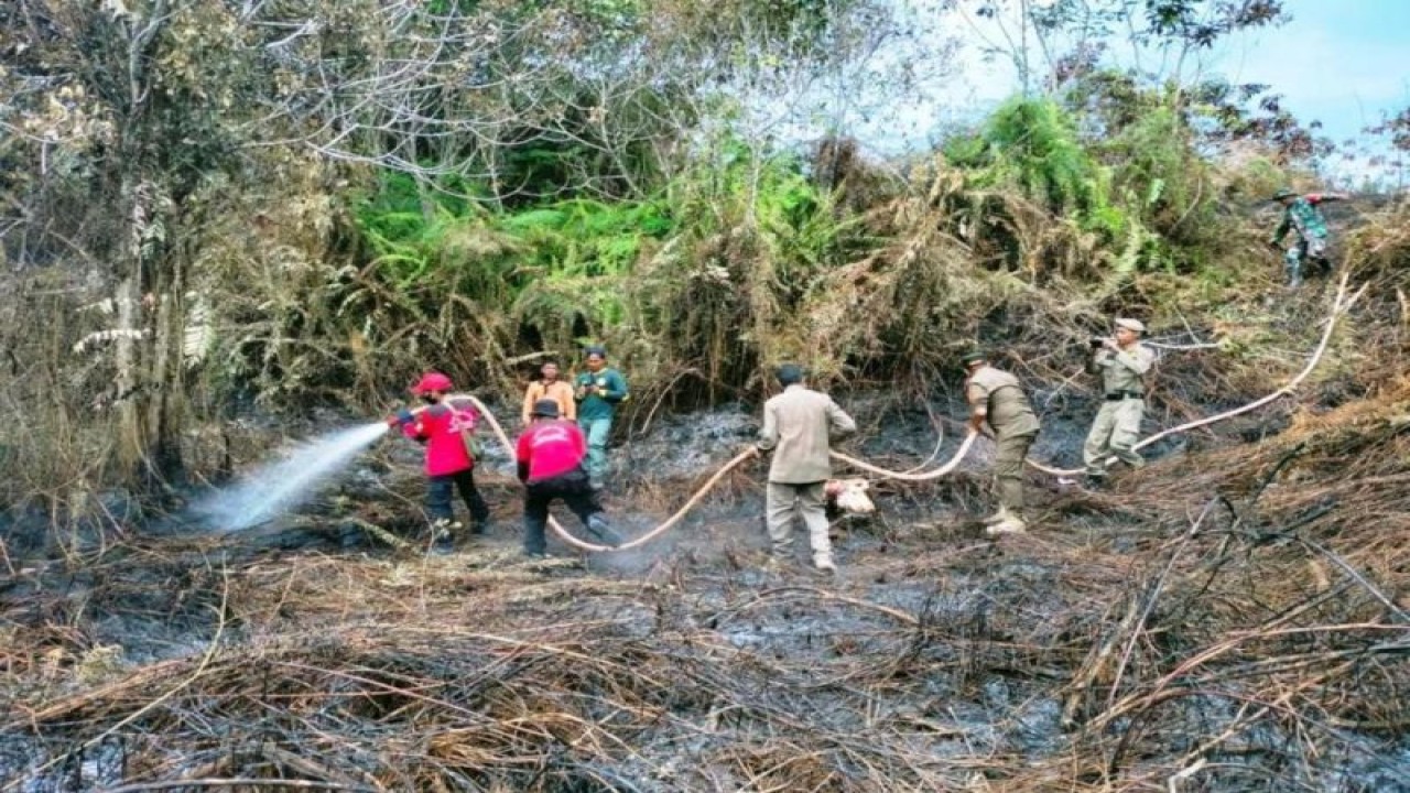 Arsip Foto - Petugas memadamkan kebakaran lahan yang terjadi di Desa Giri Purwa, Kecamatan Penajam, Kabupaten Penajam Paser Utara, Provinsi Kalimantan Timur, Sabtu (5/8/2023). (ANTARA/HO BPBD PPU)