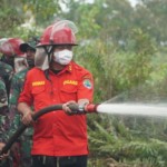 KLHK: Indonesia komitmen mengendalikan kabut asap lintas batas-1692852543