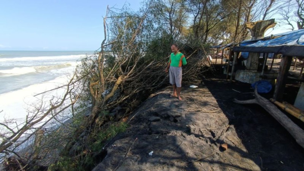 Kondisi abrasi di sepanjang pantai selatan di Kabupaten Kulon Progo. (ANTARA/HO-Dokumen istimewa)