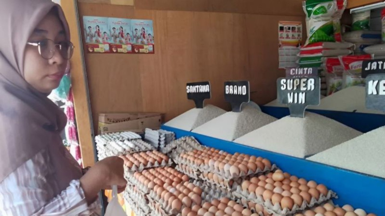 Seorang konsumen membeli telur ayam di Pasar Masomba, Kota Palu, Selasa (24/5/2023). (ANTARA/Nur Amalia Amir)