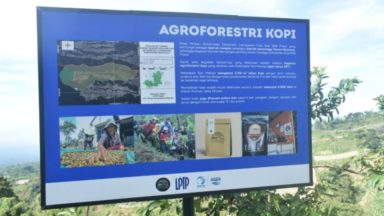Wilayah pembudidayaan kopi di Desa Mriyan, Kecamatan Tamansari, Kabupaten Boyolali, Selasa (15/8/2023). ANTARA/Aris Wasita