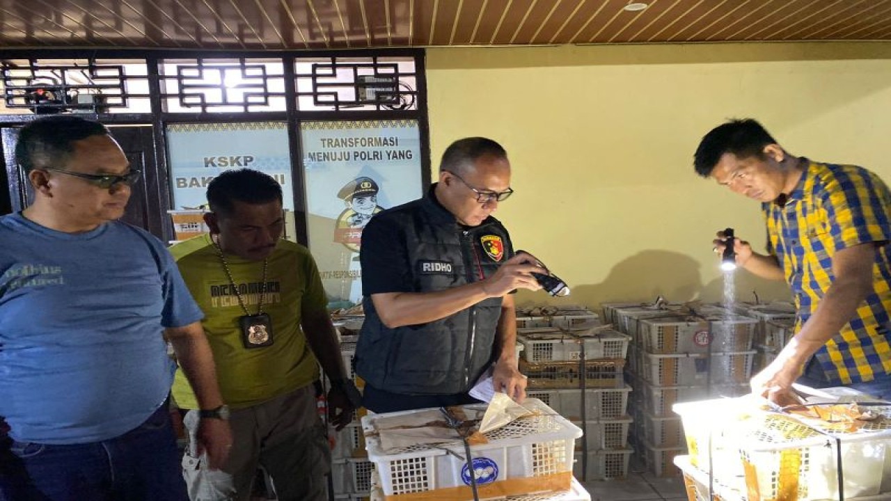 Suasana saat pihak kepolisian dari KSKP Bakauheni melakukan penggeledahan. (ANTARA/HO/humas KSKP Bakauheni)