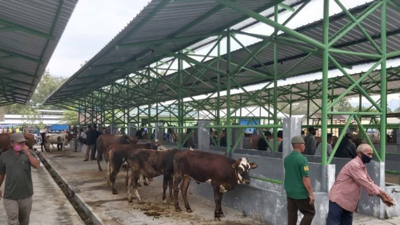 Kondisi Pasar Hewan Terpadu Pengasih di Kabupaten Kulon Progo. (ANTARA/Sutarmi)