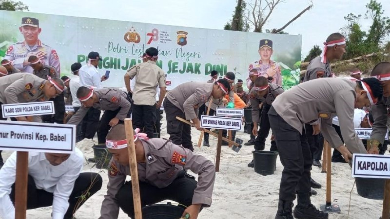 Penjabat Gubernur Kepulauan Bangka Belitung Suganda Pandapotan Pasaribu bersama Kepala Polda Kepulauan Bangka Belitung Irjen Yan Sultra menanam bibit kayu putih di lahan bekas tambang timah di lingkungan Kantor Gubernur Kepulauan Bangka Belitung di Kota Pangkalpinang, Rabu (23/8/2023). (ANTARA/Aprionis)