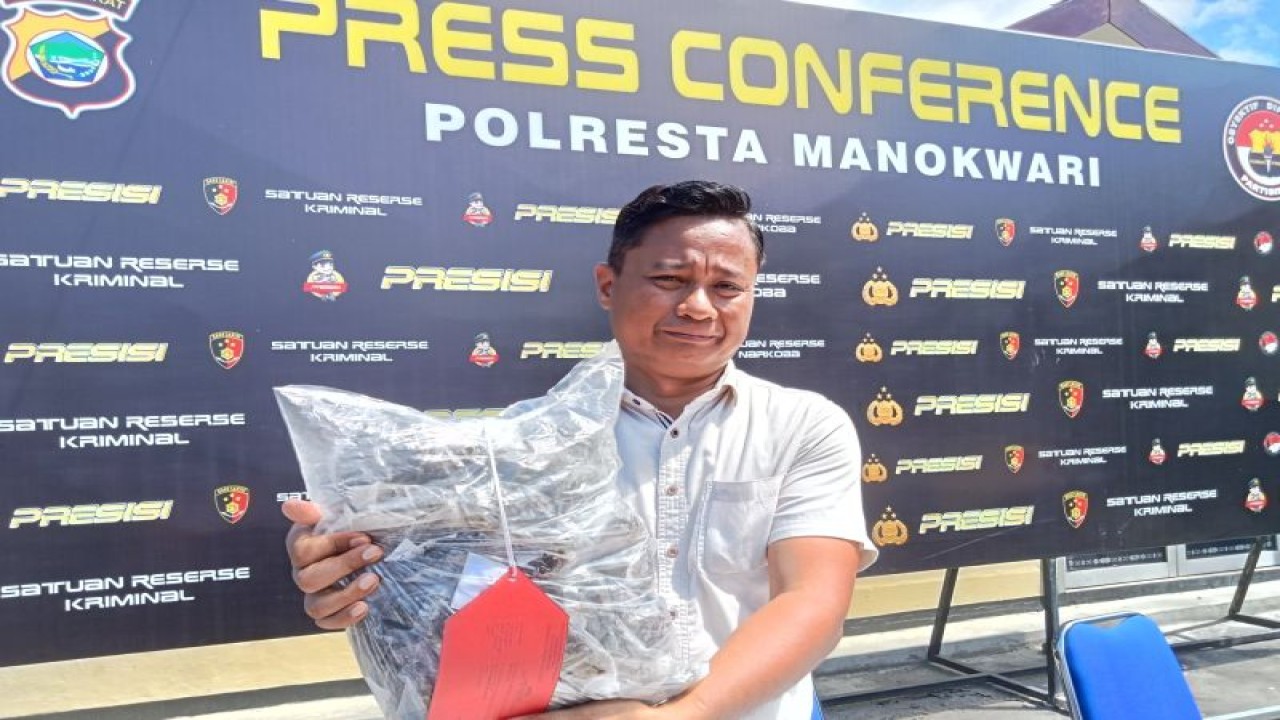 Kepala Satresnarkoba Polresta Manokwari IPTU Lukas Rosihol menunjukkan barang bukti ganja 1,2 kilogram yang berhasil diamankan di Manokwari, Papua Barat. (ANTARA/Fransiskus Salu Weking)
