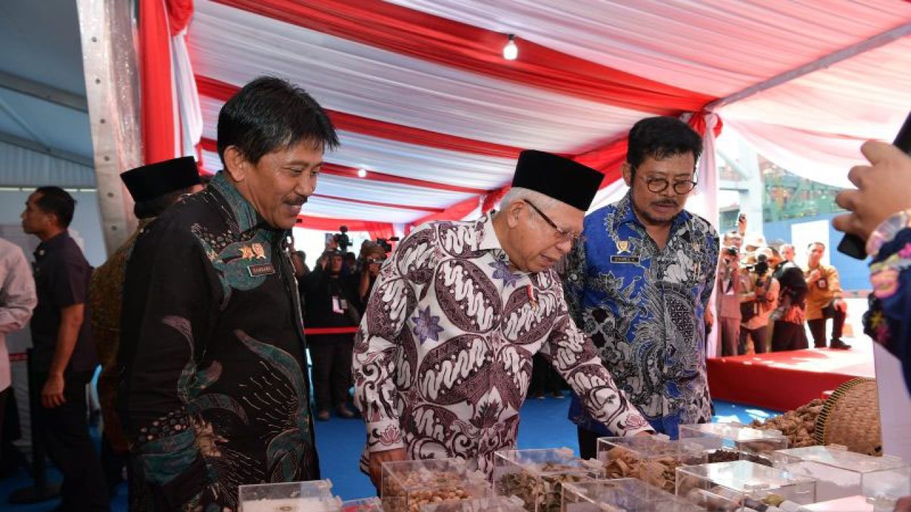 Wakil Presiden Ma’ruf Amin saat menghadiri pelepasan ekspor sejumlah komoditas pertanian di Pelabuhan Tanjung Priok, Jakarta, Selasa (15/8/2023). (ANTARA/HO-BPMI Setwapres)