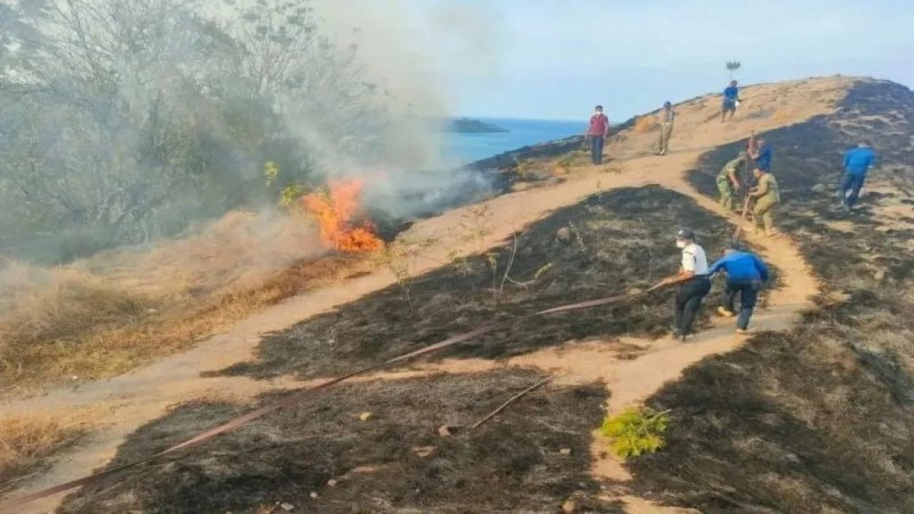 Ilustrasi - Upaya pemadaman api di Bukit Sylvia Labuan Bajo, Manggarai Barat, NTT, Senin (22/8/2022). (ANTARA/Dokumentasi Pribadi)