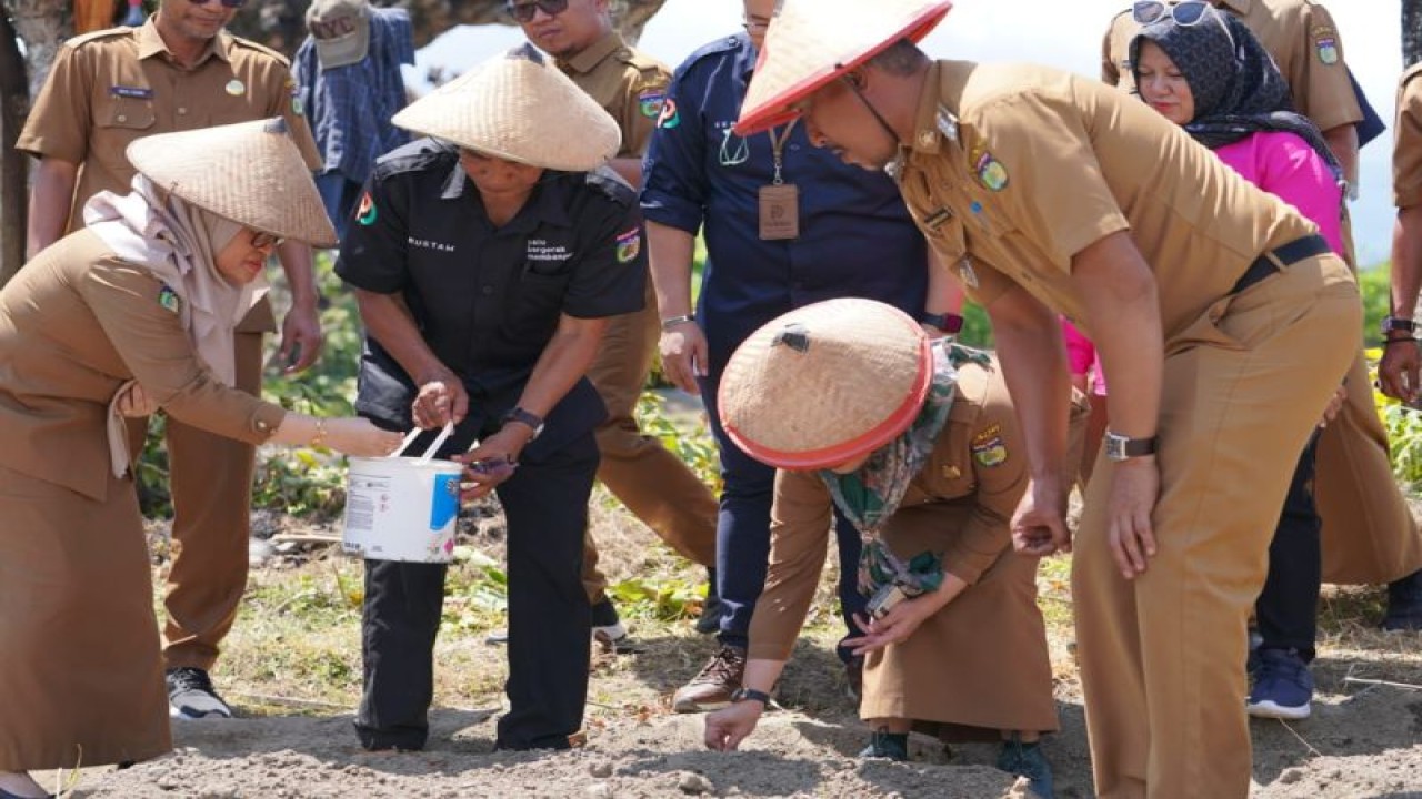 Sekretaris Daerah Kota Palu, Irmayanti Petalolo (kiri) menanam bawang varietas unggul untuk pengembangan komoditas tersebut di Palu, Senin (7/8/2023). ANTARA/HO-Humas Pemkot Palu