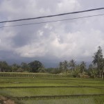 Pasaman Barat lakukan konsep pertanian cerdas antisipasi gagal panen-1692870567