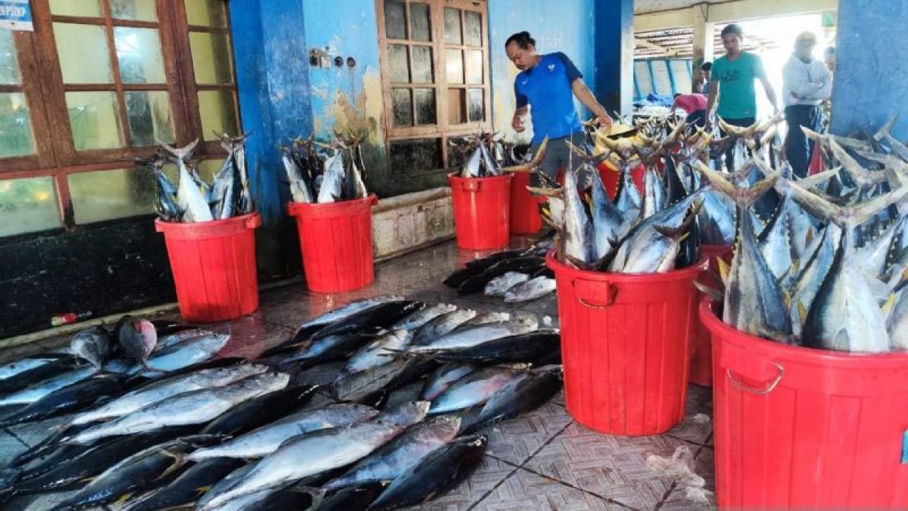 Pasar ikan di Kota Jayapura, Papua. ANTARA/Qadri Pratiwi