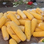 Pemkab Lebak penuhi makanan pendamping beras di tengah El Nino-1692699187
