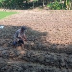 Petani Lebak beralih ke tanaman sayuran akibat kemarau-1692699426