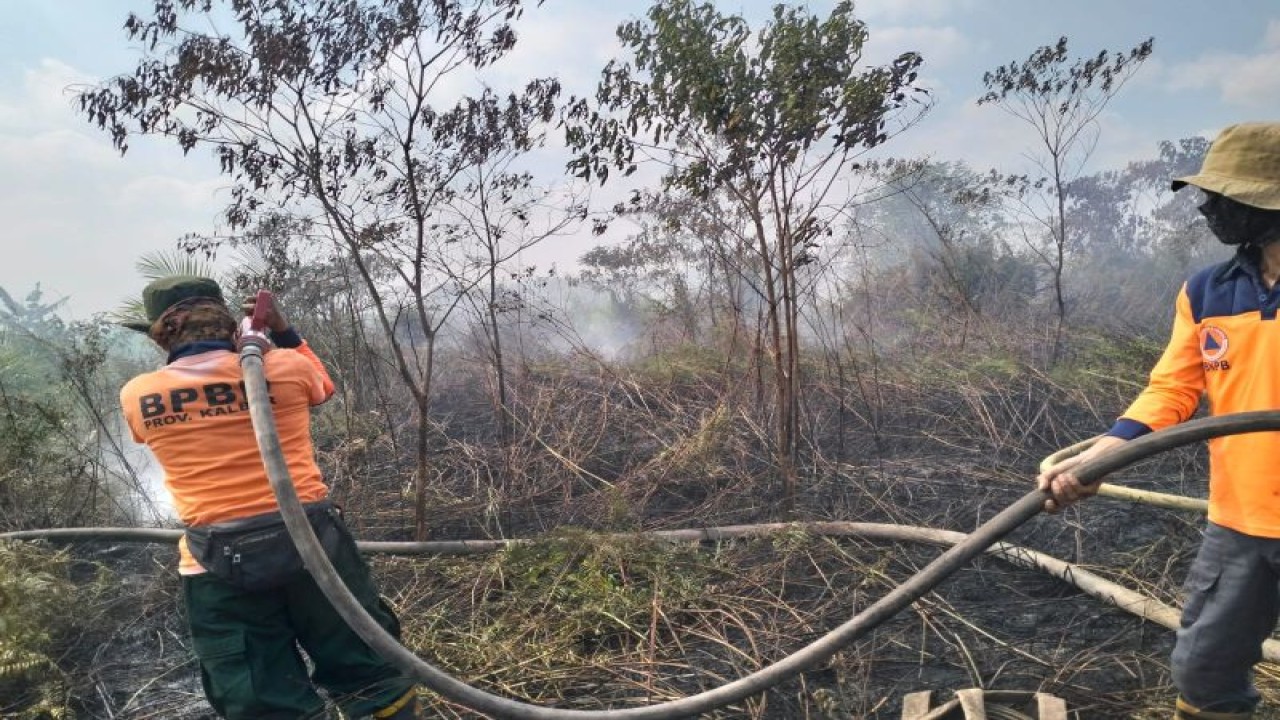 Petugas dari BPBD Kalbar melakukan pemadaman kebakaran lahan di Kubu Raya (ANTARA/HO- BPBD Kalbar).
