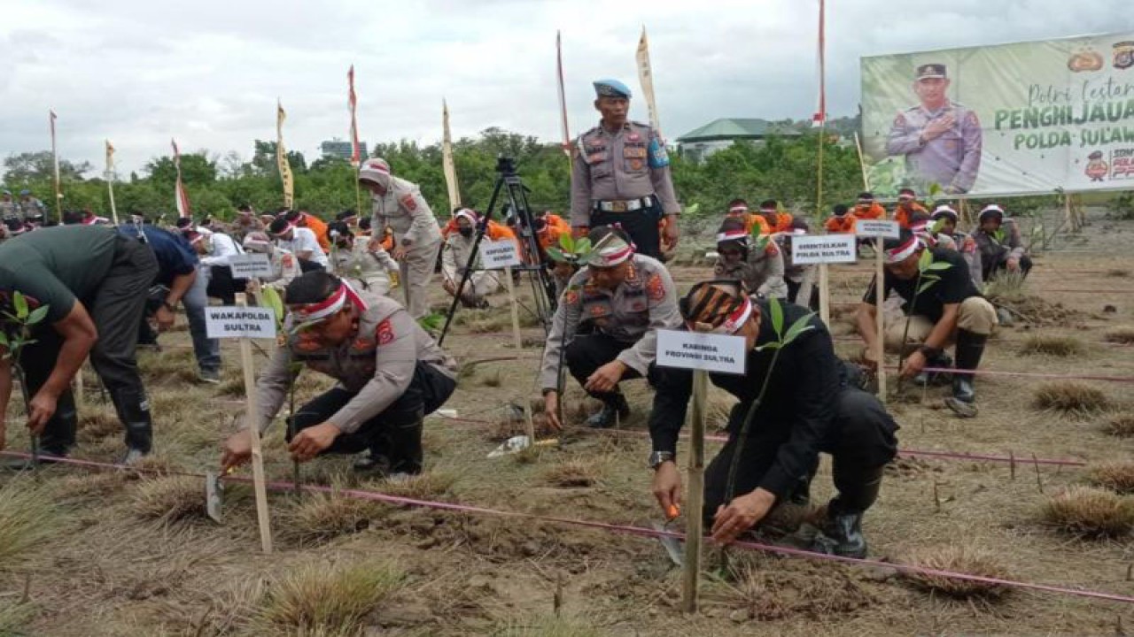 Wakapolda Sultra Brigjen Pol Iriyanto bersama Forkopimda saat melakukan penanaman bibit mangrove. (Antara/La Ode Muh Deden Saputra)