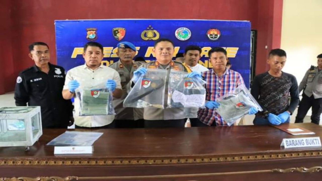 Polres Kabupaten Majene Provinsi Sulawesi Barat (Sulbar) berhasil mengungkap kasus pelecehan yang meresahkan masyarakat di Kabupaten Majene, Sabtu (26/8/2023) ANTARA Foto/M Faisal Hanapi