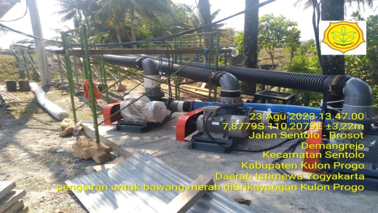 Proses pipanisasi di kawasan sentra barang merah di Bulak Srikayangan, Kabupaten Kulon Progo. (ANTARA/HO-Dokumen Dinas Pertanian dan Pangan Kulon Progo)