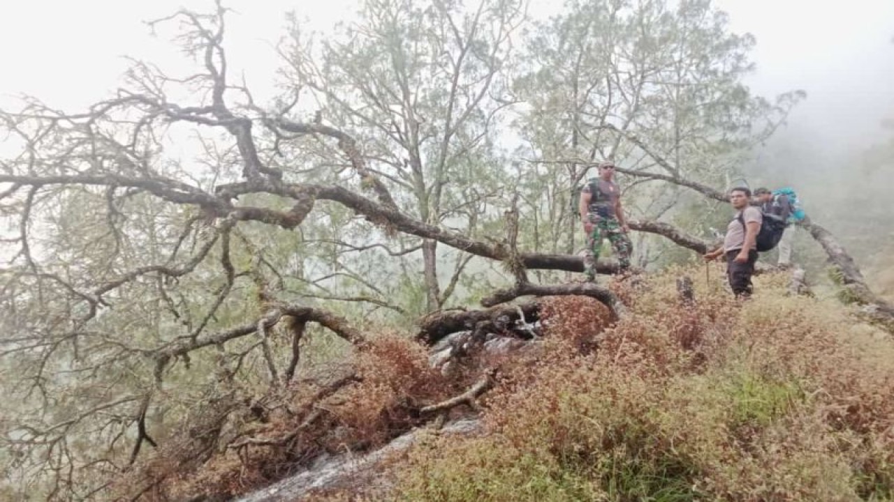 Petugas mengecek lahan yang terbakar di Taman Nasional Gunung Rinjani di Pulau Lombok, Nusa Tenggara Barat. (ANTARA/HO Humas TNGR)