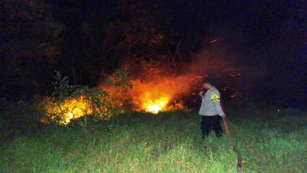 Bhabinsa menarik selang air untuk memadamkan karhutla di Petung, Kabupaten Penajam Paser Utara, Kaltim, Senin (28/8/2023) malam. (ANTARA/HO-DPKP Kabupaten PPU)