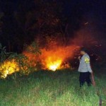 Tim gabungan Penajam Paser Utara berhasil padamkan tiga karhutla-1693296829