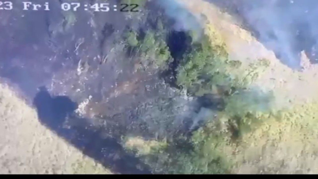 Titik Hutan di Kawasan TNGR terbakar, Jumat (4/8/2023) (ANTARA/Humas TNGR Rinjani)