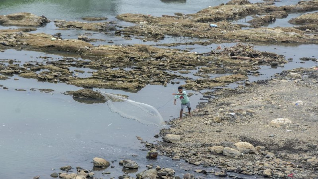Warga menjaring ikan di aliran Sungai Citanduy yang mulai surut di Bendungan Citanduy, Dobo, Kota Banjar, Jawa Barat, Kamis (24/8/2023). ANTARA FOTO/Adeng Bustomi/rwa. (ANTARA FOTO/ADENG BUSTOMI)