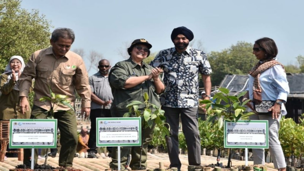 Presiden Bank Dunia Ajay Banga (kedua kanan) bersama Menteri Lingkungan Hidup dan Kehutanan Siti Nurbaya Bakar (kedua kiri) mengunjungi rehabilitasi mangrove yang berada di Desa Tanjung Pasir, Kecamatan Teluk Naga, Kabupaten Tangerang, Provinsi Banten, pada Senin (4/9/2023). (FOTO ANTARA/HO-Kementerian LHK)