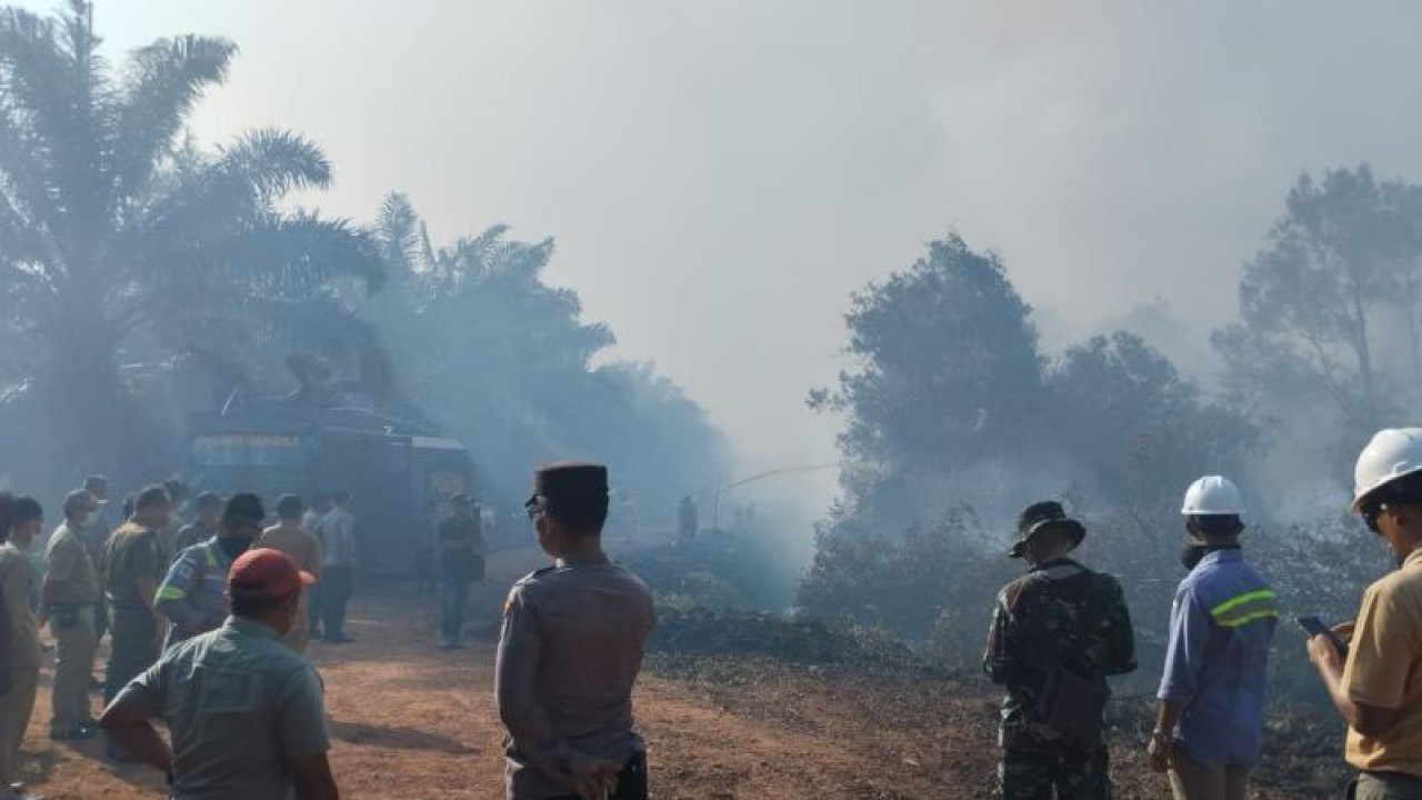 Kapolres Bangka AKBP Taufik Noor I saat meninjau lokasi kebakaran di lahan gambut. ANTARA/Kasmono/Ho.Humas Polres Bangka.