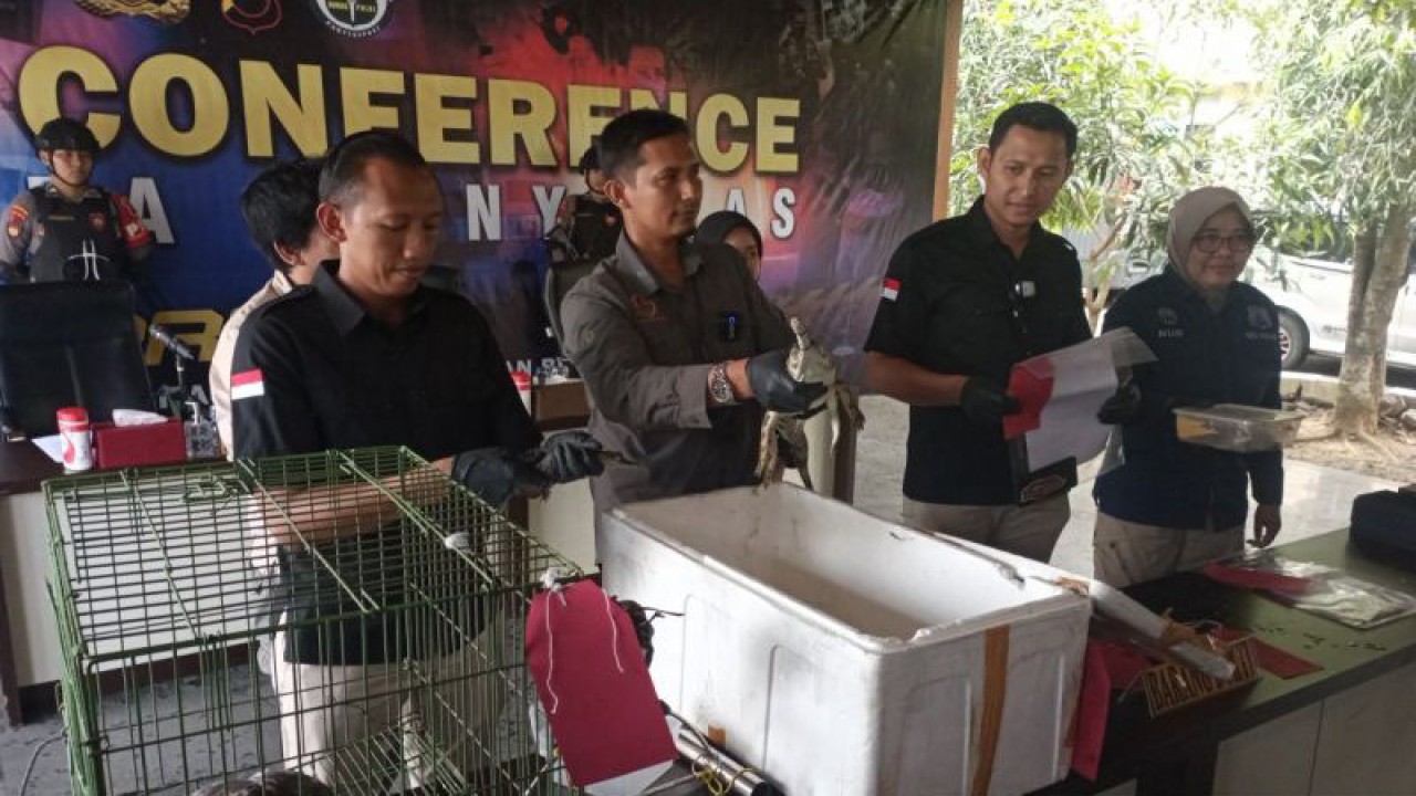 Kasatreskrim Polresta Banyumas Kompol Agus Supriadi Siswanto (dua dari kanan) Kepala Resor Konservasi Wilayah Cilacap BKSDA Jateng Wahyono Restanto menunjukkan barang bukti dalam konferensi pers pengungkapan kasus perdagangan satwa dilindungi di Pendopo Polresta Banyumas, Purwokerto, Kabupaten Banyumas, Rabu (27/9/2023). ANTARA/Sumarwoto
