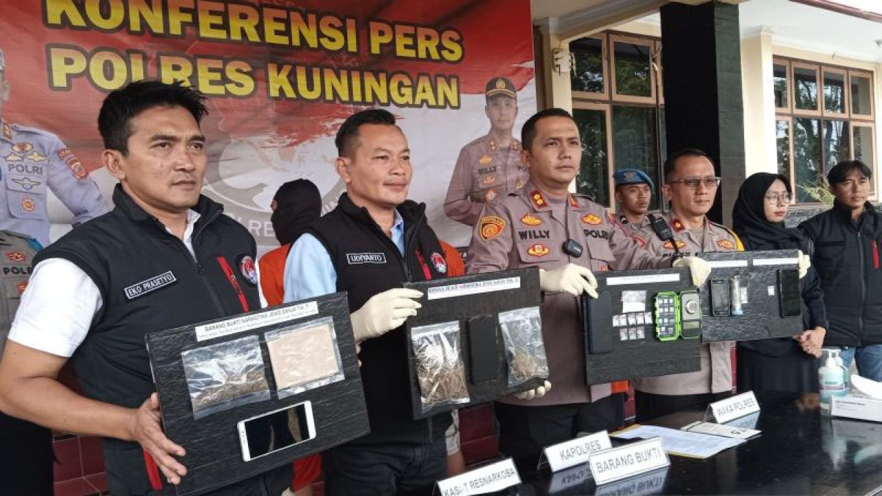 Jajaran Polres Kuningan menunjukkan barang bukti ganja dan sabu yang berhasil disita selama tiga minggu terakhir di Kuningan, Jawa Barat, Kamis (14/9/2023). (ANTARA/F Rohman)