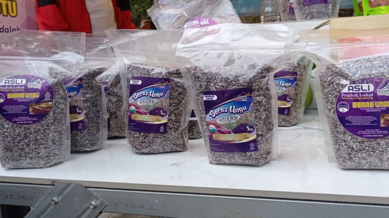 Produksi beras ungu organik yang dikembangkan Gabungan Kelompok Tani (Gapoktan) Sri Jaya Mulya Cigemblong Kabupaten Lebak dipromosikan melalui Jambore Pertanian Peternakan di Rangkasbitung dengan harga Rp25 ribu per kemasan seberat 900 gram.ANTARA/Mansur