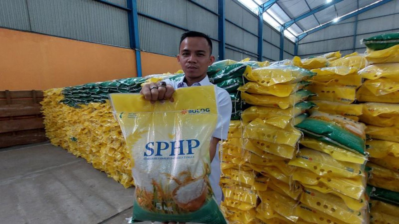 Petugas Bulog Bengkulu menunjukkan stok beras SPHP untuk didistribusikan di Provinsi Bengkulu, di Bengkulu, Senin (11/9/2023). ANTARA/Boyke Ledy Watra