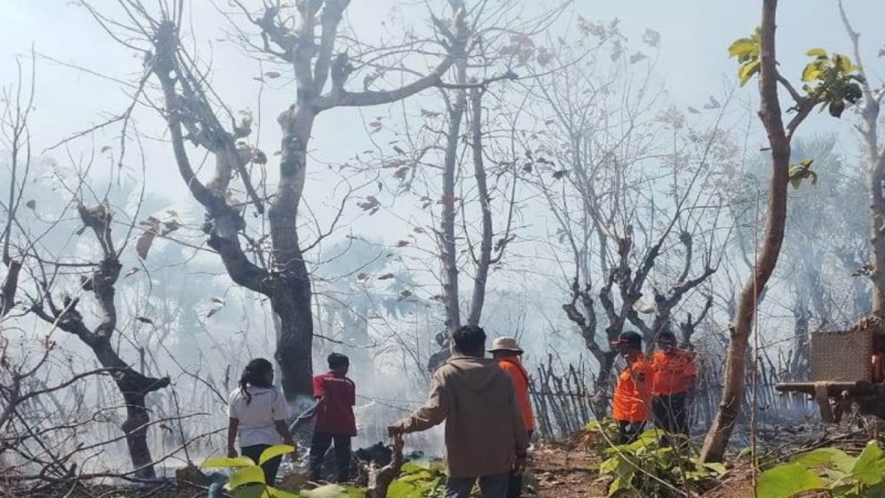 BPBD Sabu Raijua dan masyarakat melakukan upaya pemadaman kebakaran lahan di Sabu Raijua, NTT beberapa waktu lalu. (ANTARA/Dokumentasi Pribadi)